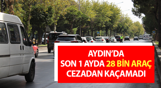 Haziran ayında trafik kazalarında 5 kişi hayatını kaybetti