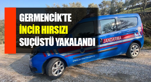 İncir hırsızı suçüstü yakalandı