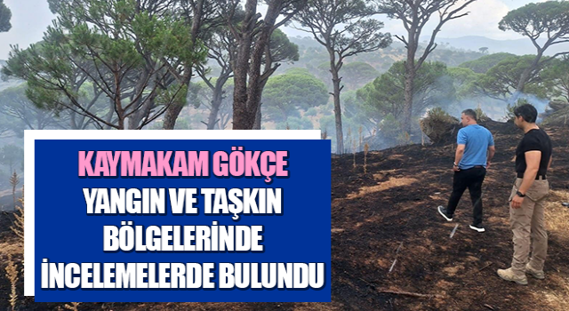 Kaymakam Gökçe, yangın ve taşkın bölgelerinde incelemelerde bulundu