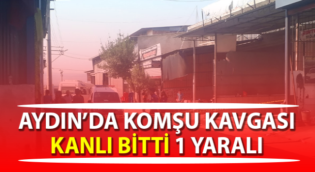 Komşu kavgası kanlı bitti: 1 yaralı