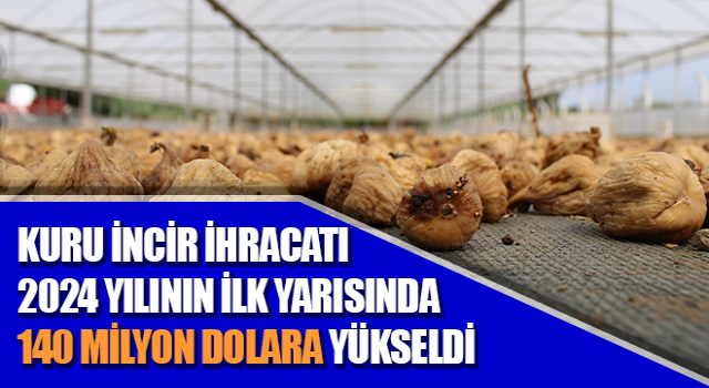 Kuru incir ihracatı 140 milyon dolara yükseldi