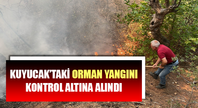 Kuyucak’taki orman yangını kontrol altına alındı