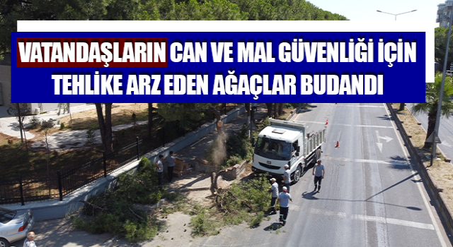 Nazilli’de ağaçlar budandı