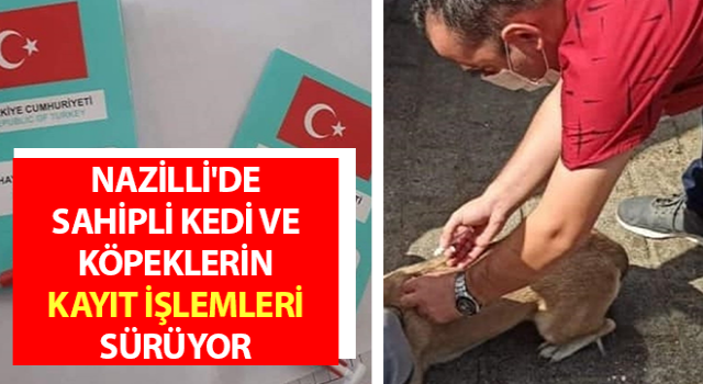 Nazilli'de sahipli kedi ve köpeklerin kayıt işlemleri sürüyor