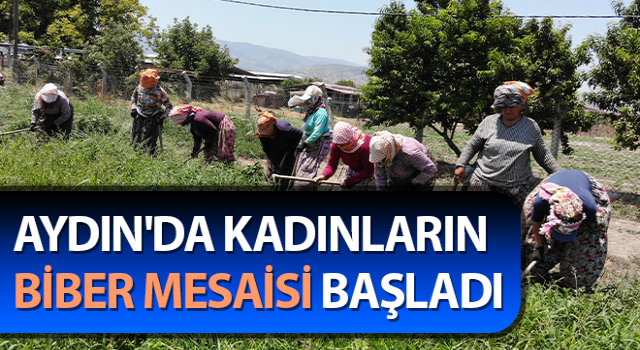 Sıcaklar Egeli kadınları yıldırmıyor