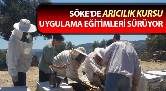 Söke'de Arıcılık Kursu uygulama eğitimleri sürüyor