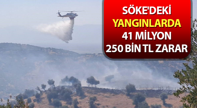 Söke'deki yangınlarda 41 milyon 250 bin TL zarar