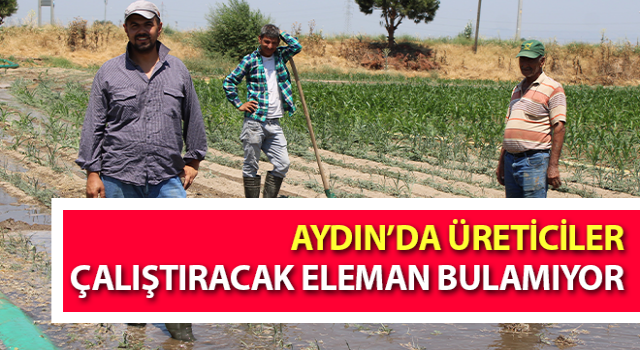 Üreticiler çalıştıracak eleman bulamıyor