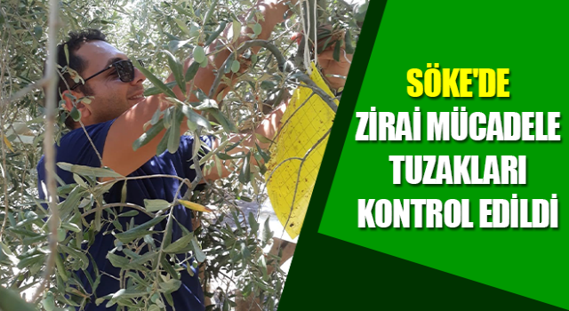 Zirai mücadele tuzakları kontrol edildi