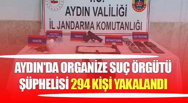 Aydın'da 294 kişi yakalandı