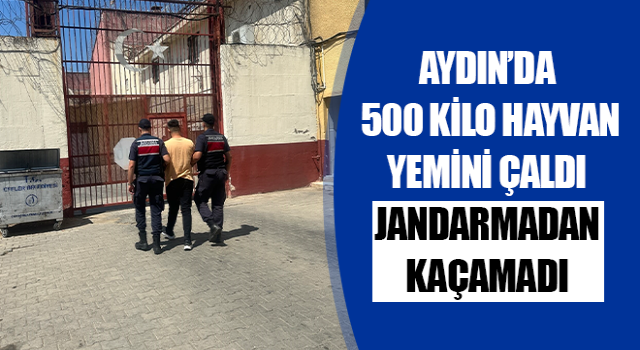 Aydın’da 500 kilo hayvan yemini çaldı, jandarmadan kaçamadı