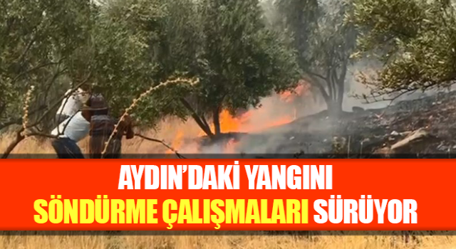 Aydın’daki yangını söndürme çalışmaları sürüyor