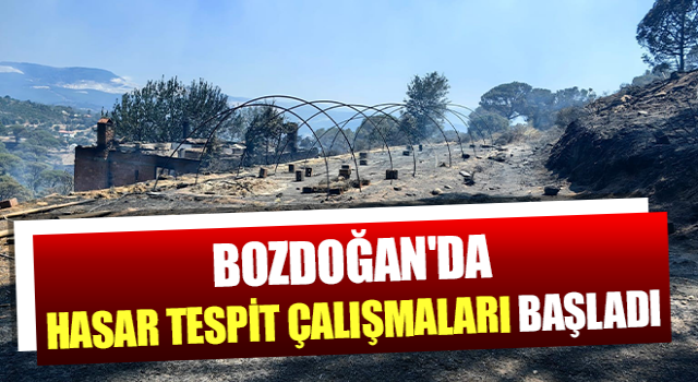 Bozdoğan'da hasar tespit çalışmaları başladı