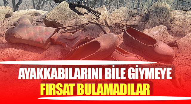 Bozdoğan’daki yangın arkasında acı tablo bırakarak devam ediyor