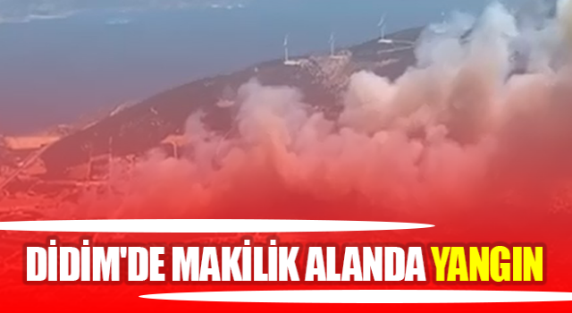 Didim'de makilik alanda yangın