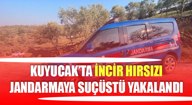 İncir hırsızı jandarmaya suçüstü yakalandı