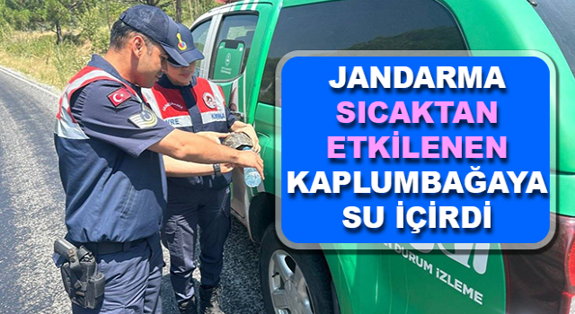 Jandarma sıcaktan etkilenen kaplumbağaya su içirdi