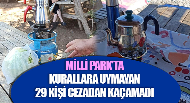 Kurallara uymayan 29 kişi cezadan kaçamadı