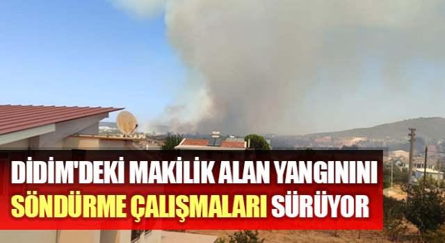 Makilik alan yangınını söndürme çalışmaları sürüyor