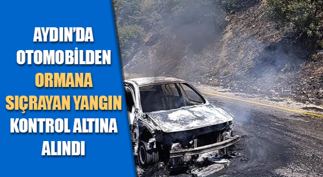 Otomobilden ormana sıçrayan yangın kontrol altına alındı