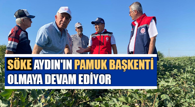 Söke, Aydın'ın pamuk başkenti olmaya devam ediyor