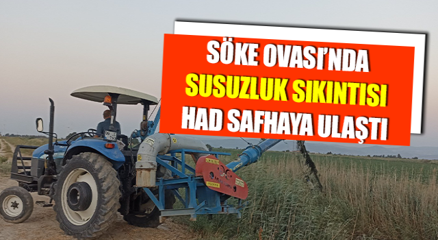 Söke Ovası’nda susuzluk sıkıntısı had safhaya ulaştı