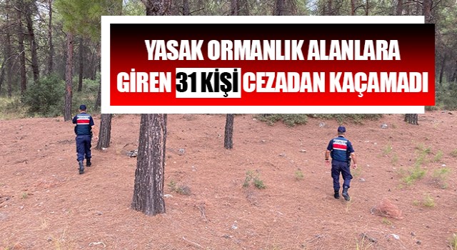 Yasak ormanlık alanlara giren 31 kişi cezadan kaçamadı