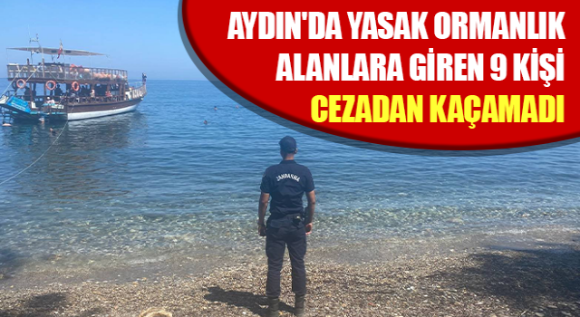 Yasak ormanlık alanlara giren 9 kişi cezadan kaçamadı