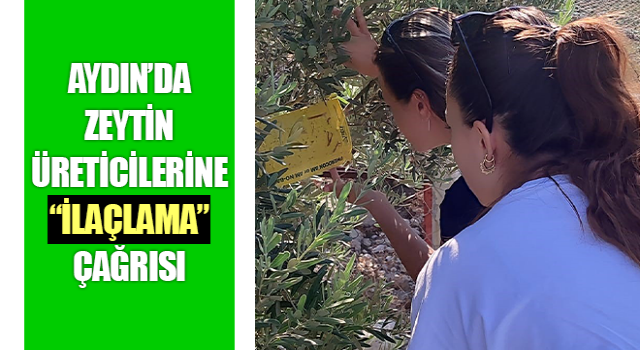 Zeytin üreticilerine “ilaçlama” çağrısı