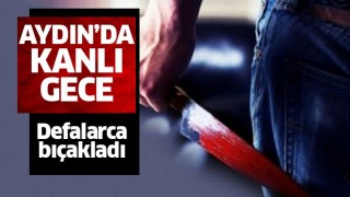 Aydın'da kanlı gece