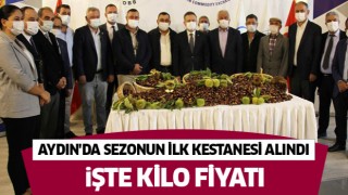  Aydın'da sezonun ilk kestanesi alındı