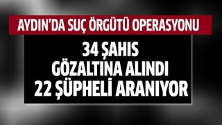 Aydın'da suç örgütüne operasyon