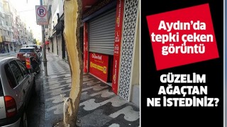 Aydın'da tepki çeken görüntü