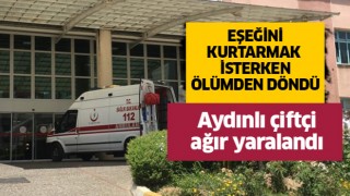 Aydınlı çiftçi ağır yaralandı