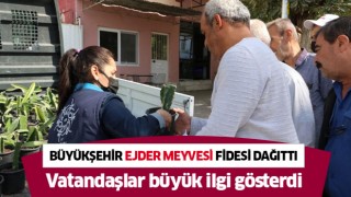 Büyükşehir vatandaşlara 'ejder meyvesi' fidesi dağıttı