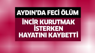 İncir kurutmak isterken öldü