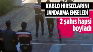 Kablo hırsızlarını jandarma enseledi