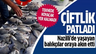 Nazilli'de yaşayan balıkçılar oraya akın etti