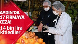 Aydın'da 17 firmaya ceza