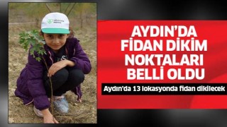 Aydın’da fidan dikim noktaları belli oldu