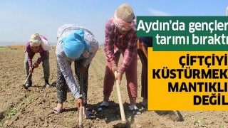 Aydınlı gençler tarımı bıraktı