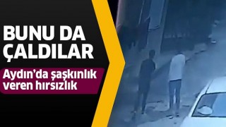 Aydın'da şaşkınlık veren hırsızlık