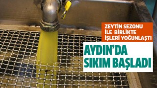 Aydın'da sıkım başladı