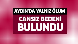 Aydın'da yalnız ölüm!