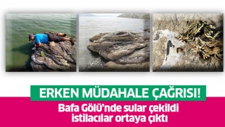 Bafa Gölü’nde sular çekildi, istilacılar ortaya çıktı