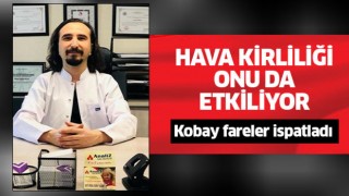 Hava kirliliği onu da etkiliyor