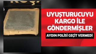  Kargo ile gelen uyuşturucuya polis el koydu