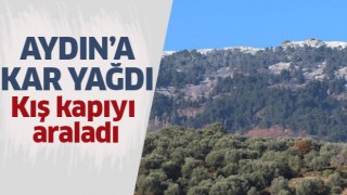 Aydın'a kar yağdı