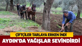 Aydın'da çiftçiler tarlaya erken indi