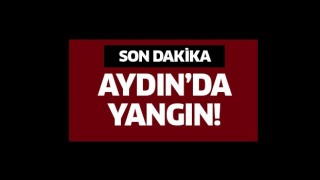 Aydın’da ev yangını